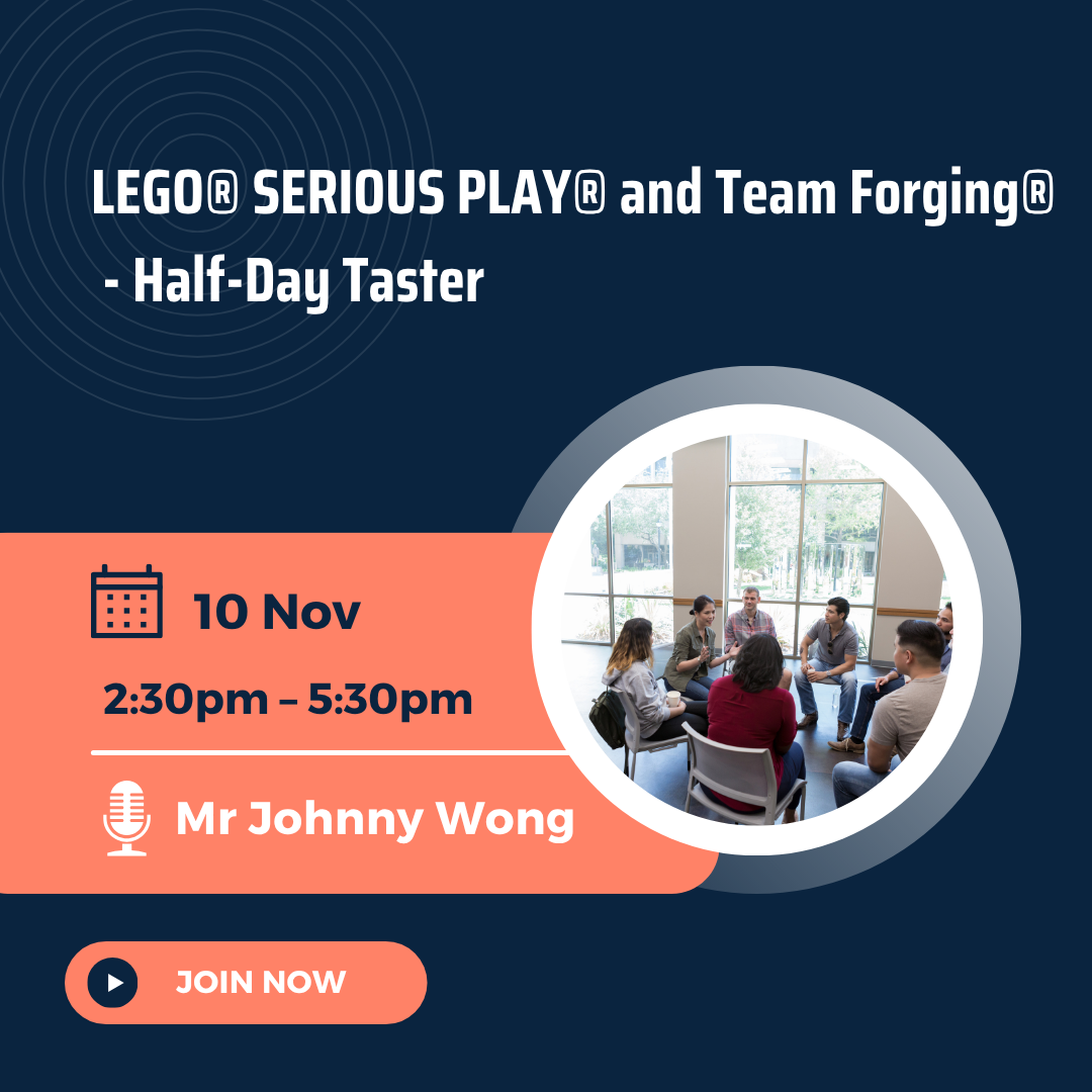 LEGO® SERIOUS PLAY® and Team Forging® - Half-Day Taster